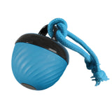 Squeaky Rolling Ball Dog Toy – Interactive Motion-Activated Chew Toy for Dogs Blue