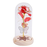 Eternal Rose Flower with LED Lights Christmas & Birthday Gift Red