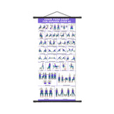 31 Pose Chair Yoga Wall Chart for Seniors Beginners Home Studio
