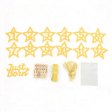 2 Set Glitter Star 1 to 12 Month Banner for First Birthday Photo Display