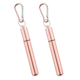 2 PCS Collapsible Stainless Steel Travel Straws with Keychain Cases Rose Gold