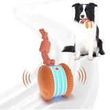 Interactive Pet Rolling Ball Toy Rechargeable Automatic for Cats and Dogs Orange