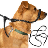 Black Dog Leash with Padded Nose Loop Anti-Pull Training Lead for Medium & Large Dogs