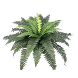 Ferns Artificial Bush Plants Large Artificial Boston Ferns with 38 Fronds for Outdoors Home Decor