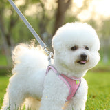 Pet Cat Harness and Leash Set Breathable Vest with Reflective Strip for Kitten Walking Traveling Pink