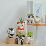 Set of 6pcs Cute Animal Plant Pot Succulent Planter Indoor Outdoor Desk Decoration