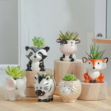 Set of 6pcs Cute Animal Plant Pot Succulent Planter Indoor Outdoor Desk Decoration