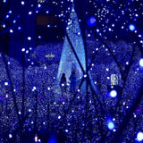 Garden Decoration Solar String Lights Outdoor with 8 Modes Blue