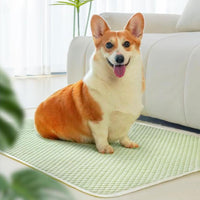 Pet Cooling Mat Dog Cat Breathable Summer Cooling Pad  Light Green