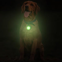 4-Mode Dog Collar Light for Night Walking Rechargeable Pet Collar LED Light Green