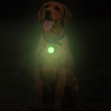 4-Mode Dog Collar Light for Night Walking Rechargeable Pet Collar LED Light Green