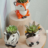 Set of 6pcs Cute Animal Plant Pot Succulent Planter Indoor Outdoor Desk Decoration