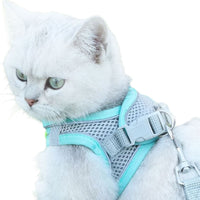 Pet Cat Harness and Leash Set Breathable Vest with Reflective Strip for Kitten Walking Traveling Blue
