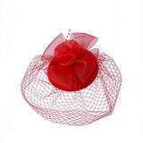 Birdcage Veil Bridal Headpiece Vintage Mesh Rose Hair Accessory Red