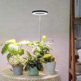 Grow Light for Indoor Plants Full Spectrum 20 LED with Adjustable Brightness
