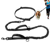 2 in 1 Double Leash for Dogs No Tangle Bungee Dog Leash Reflective Comfortable Padded Handles Black