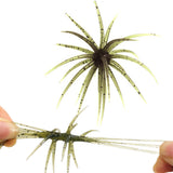 2 PCS Lifelike Floating Sea Urchin Soft Lure | Tentacle Creature Lure for Fishing Green
