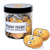 60PCS Positive Pickles Affirmation Cards Jar – Motivational Gift for Women and Teens Style 2