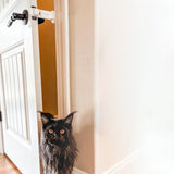 Stretchable Door Prop for Cats Cat Door Latch Holder Dog Proof Door Stopper