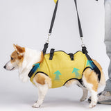 Pet Sling Carrier Bag for Small Dogs Puppies Shoulder Tote Yellow