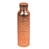 800ml Stainless Steel Water Bottle with 1 Brush 1 Bag for Home Outdoor
