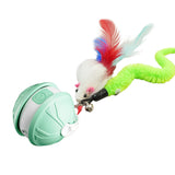 Electric Automatic Moving Rolling Dog Toy Interactive Dog Ball Toy Green