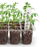 5Pcs 12 Cell Seed Starter Trays for Growing Seeds