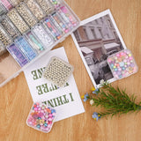 Plastic Bead Organizer Box for DIY Jewelry and Nail Craft Storage