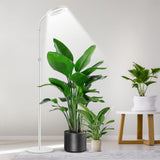 4-Light Mode Grow Light for Indoor Plants Full Spectrum Floor Plant Light with 72 LEDs White