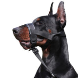 Adjustable Dog Head Collar with Padded Nose Loop for Gentle Control and Training