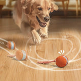 Interactive Pet Rolling Ball Toy Rechargeable Automatic for Cats and Dogs Orange