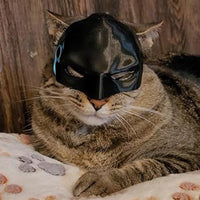 Bat Cat Avenger Mask Cute Cat Bat Mask Cosplay Costumes Props for Pet Cat