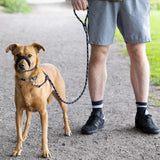 Black Dog Leash with Padded Nose Loop Anti-Pull Training Lead for Medium & Large Dogs
