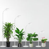 4-Light Mode Grow Light for Indoor Plants Full Spectrum Floor Plant Light with 72 LEDs White
