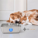 12L Pet Water Fountain Stainless Steel Quiet Pump for Large Dogs