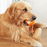 Interactive Pet Rolling Ball Toy Rechargeable Automatic for Cats and Dogs Orange