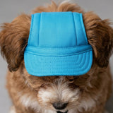 Pet Baseball Cap with Ear Holes Adjustable Strap for Dogs Cats Blue
