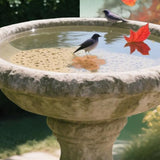 Copper Bird Bath Cleaning Disc for All-Season Outdoor Birdbaths Flower Shape