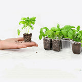 5Pcs 12 Cell Seed Starter Trays for Growing Seeds