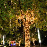 Garden Decoration Solar String Lights Outdoor with 8 Modes Warm White