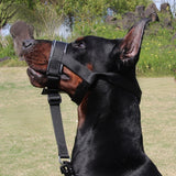 Adjustable Dog Head Collar with Padded Nose Loop for Gentle Control and Training