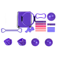 13PCS Home Pilates Essentials Kit – Includes Yoga Ball Resistance Band and Pilates Ring Purple