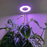 Grow Light for Indoor Plants Full Spectrum 20 LED with Adjustable Brightness