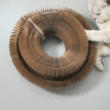 Organ Cat Toy Transformable Interactive Cardboard Toy with Track and Bell Ball