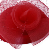 Birdcage Veil Bridal Headpiece Vintage Mesh Rose Hair Accessory Red