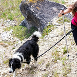 2 in 1 Double Leash for Dogs No Tangle Bungee Dog Leash Reflective Comfortable Padded Handles Black