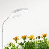 4-Light Mode Grow Light for Indoor Plants Full Spectrum Floor Plant Light with 72 LEDs White