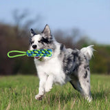 Interactive Dog Rope Toy with Bungee and Chew Ball for Indoor & Outdoor Play