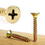 100 PCS Expansion Anchor and Screw Set with Storage Box