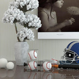 2Pcs Clear Baseball Display Case Cube Shape Acrylic Baseball Storage Box